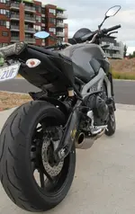 rear shot.webp