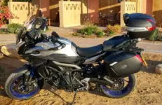 tracer_panniers.webp