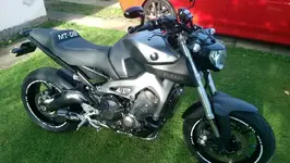 IMAG0280.webp