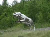 Flying Pig Castleblayney.webp