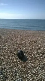 WP_20140413_007.webp