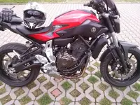 CAM00103.webp