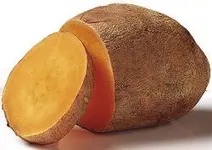 image.webp