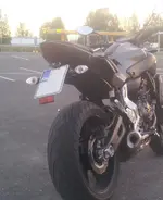 Tail Tidy.webp