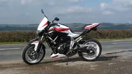 ride out.webp