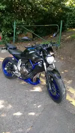 IMAG0186.webp