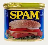 spam.webp