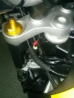 5 (Custom).webp