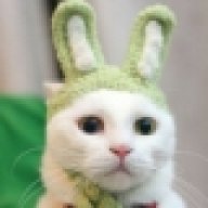 Fedor