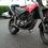 mudrock1