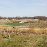 DSC_0438.JPG