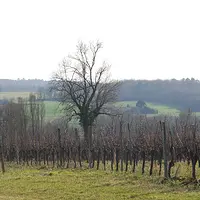 DSC_0443.JPG
