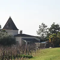 DSC_0445.JPG