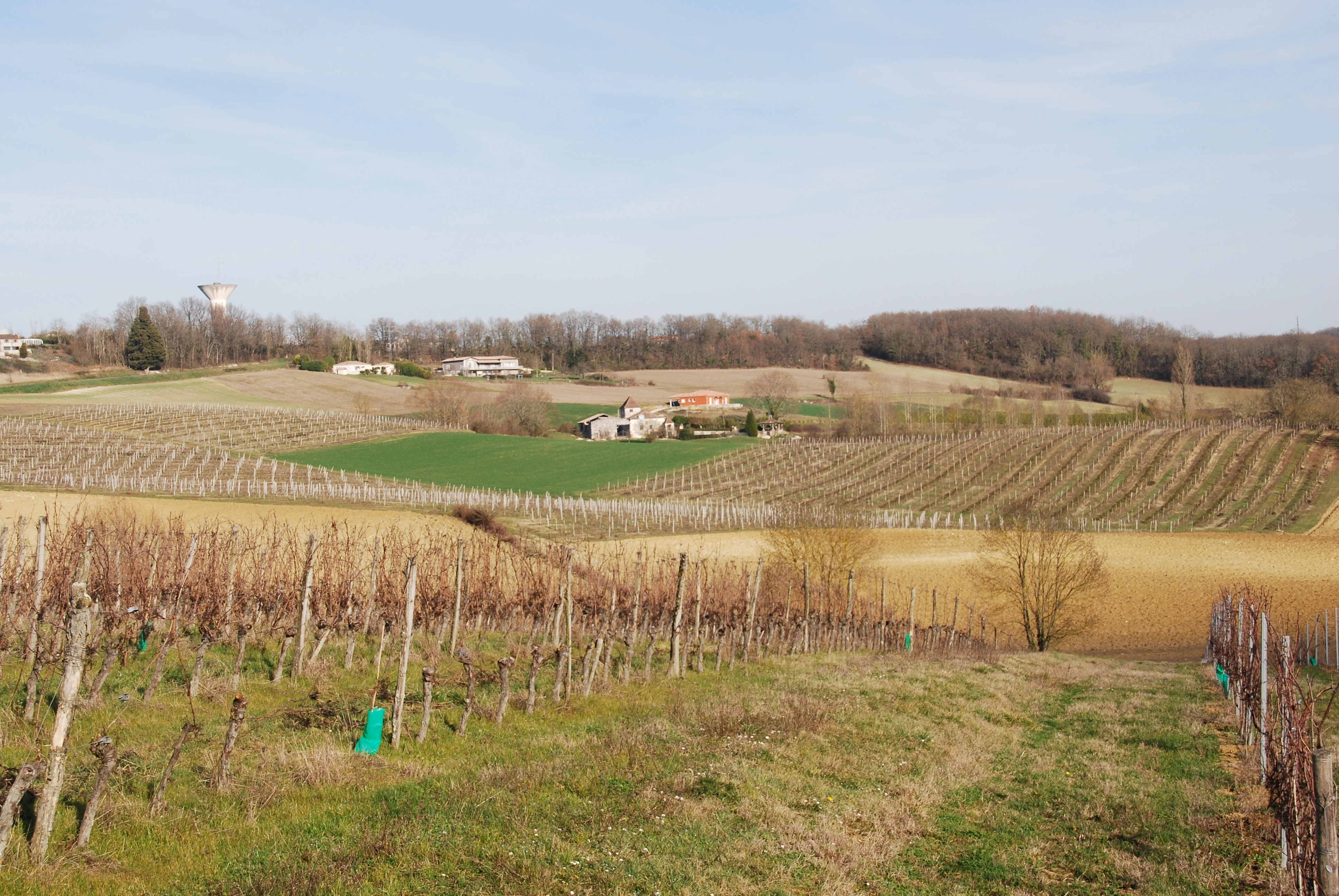 DSC_0438.JPG