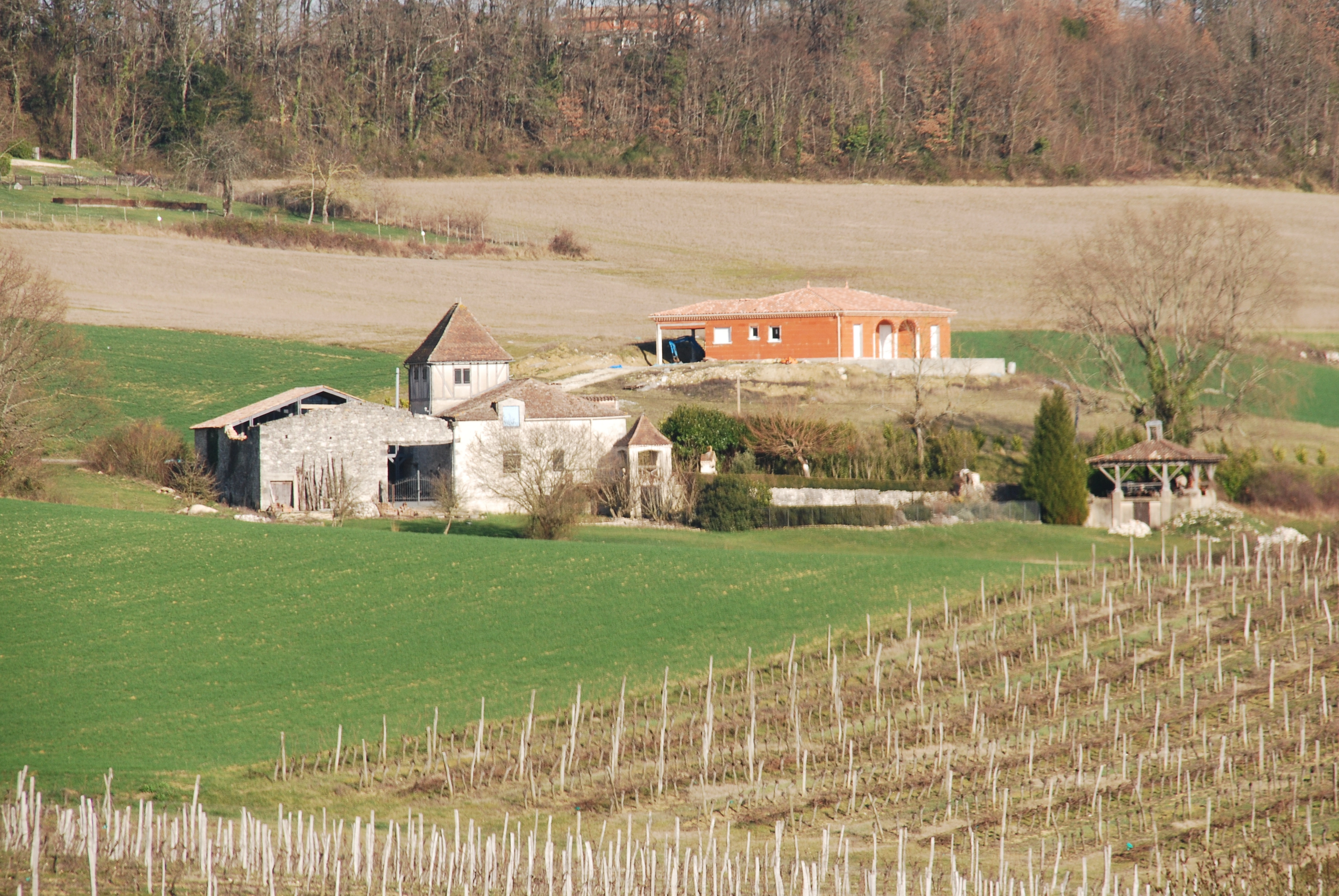 DSC_0439.JPG