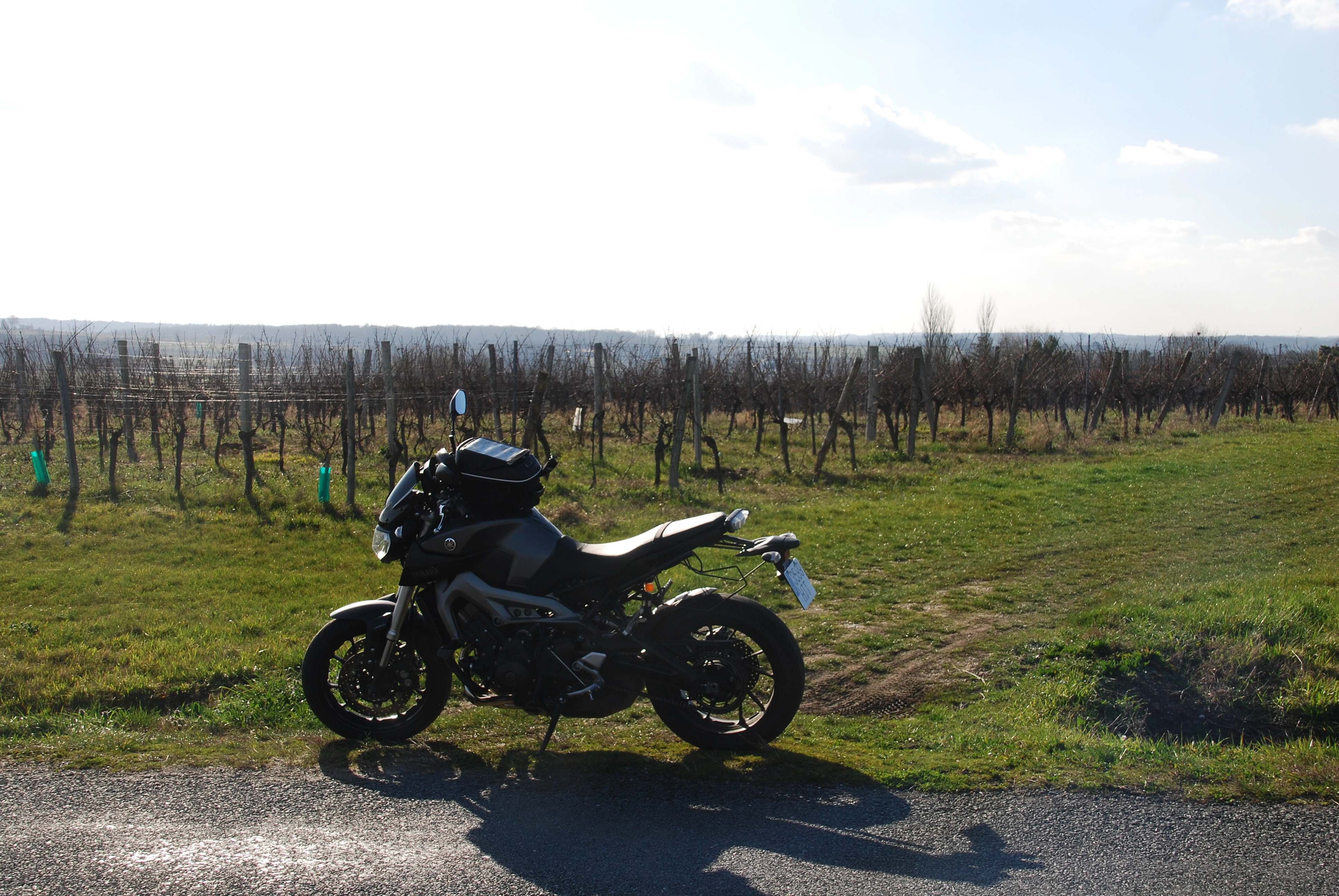 DSC_0444.JPG