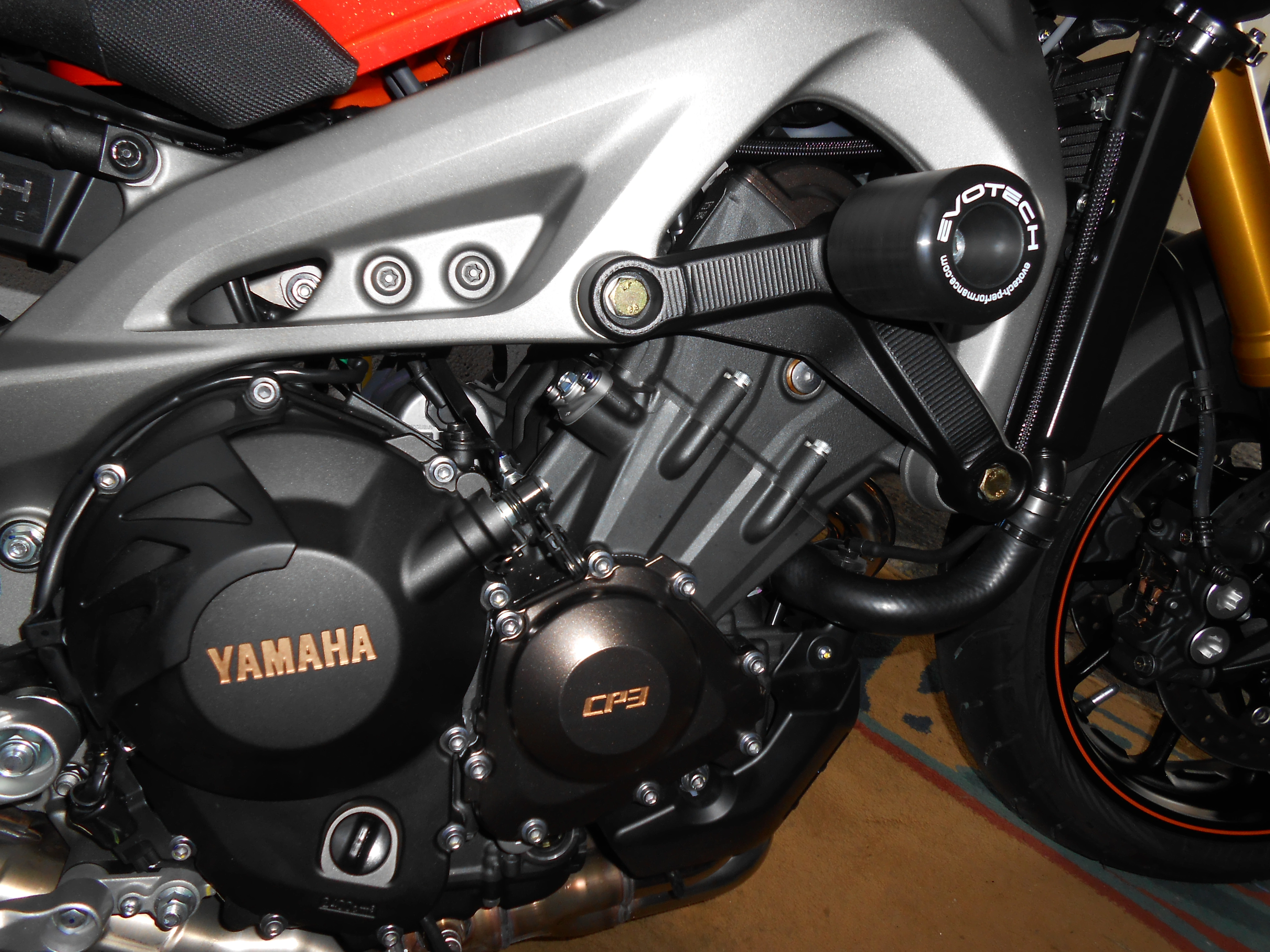 DSCN03711.JPG