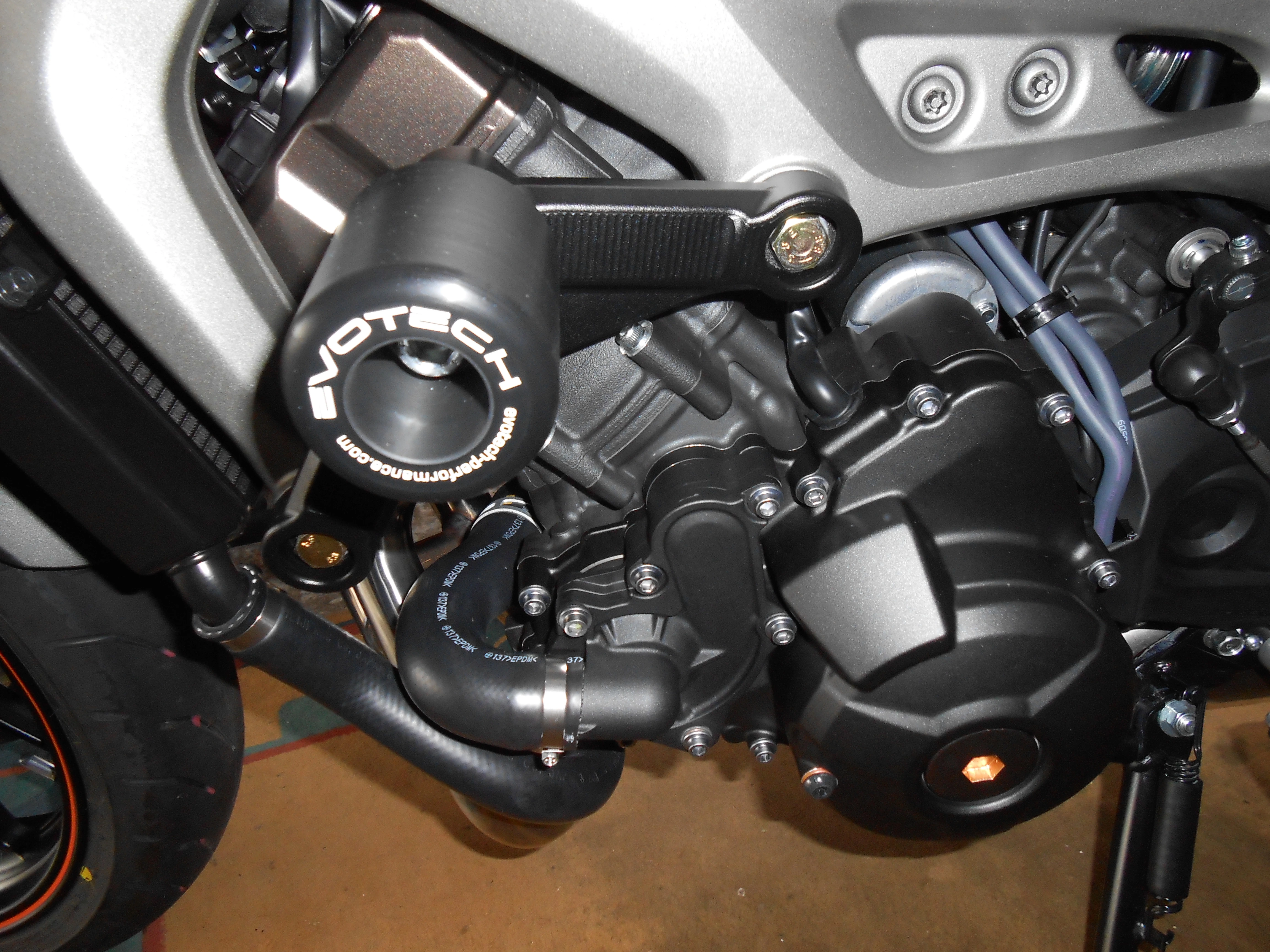 DSCN03721.JPG