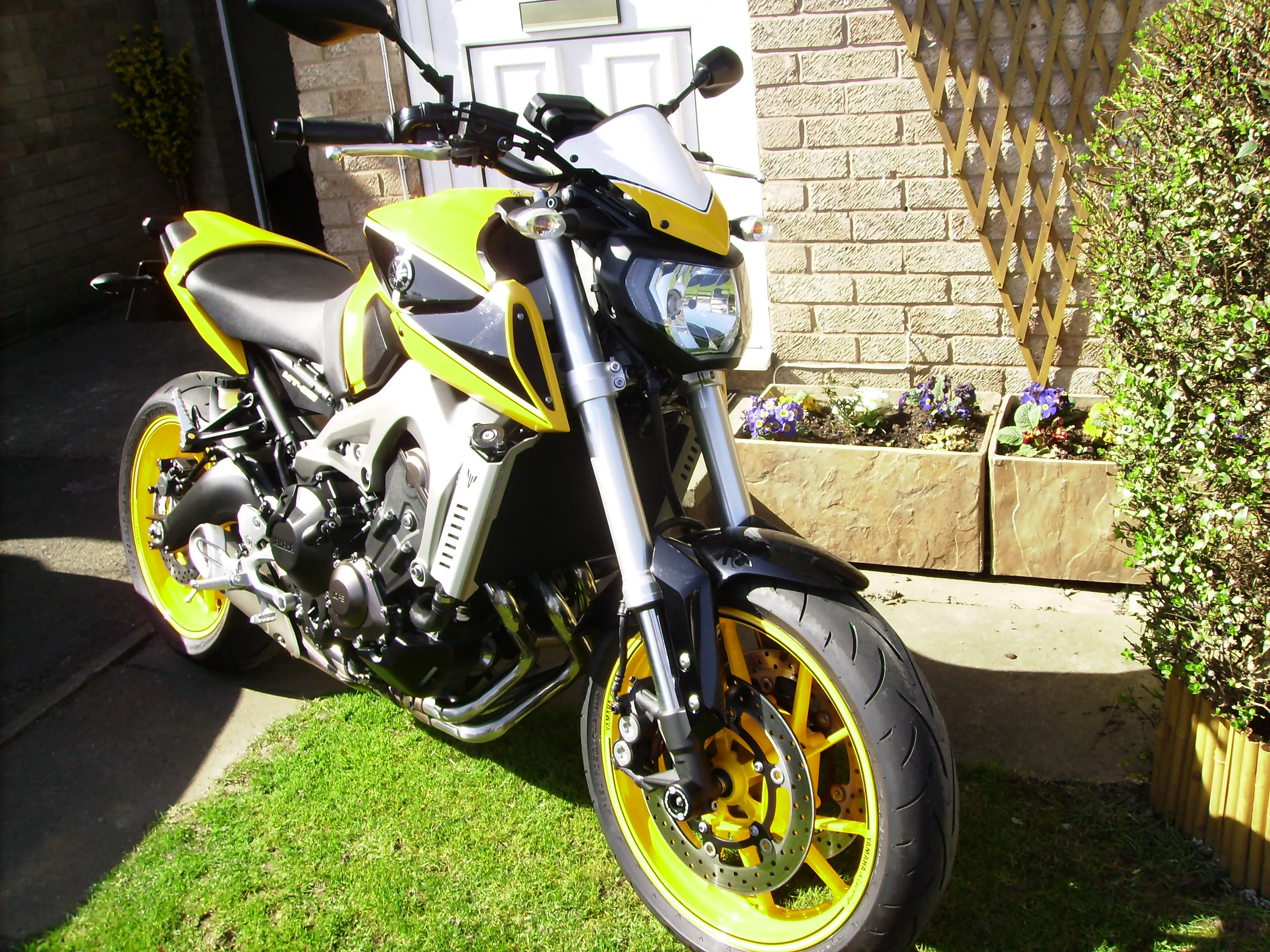 yamaha_039.JPG