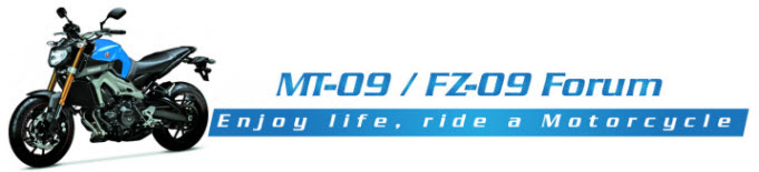 FZ-09_CustomLogoDesign_R2.jpg